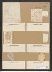 Campylodiscus latus Shadb. (de-Toni-Nr.: Genus 57, Species 2460) Zeichnungen Sammlung Grunow Nr. 4953 (NHMW-BOT-W0373174)